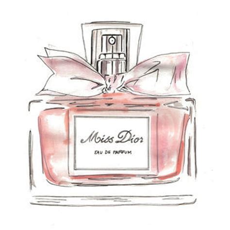 miss Dior perfume bottle drawings